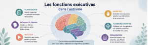 Schéma illustrant les principales fonctions exécutives chez une personne autiste