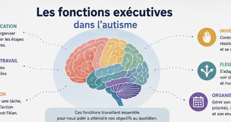 Schéma illustrant les principales fonctions exécutives chez une personne autiste